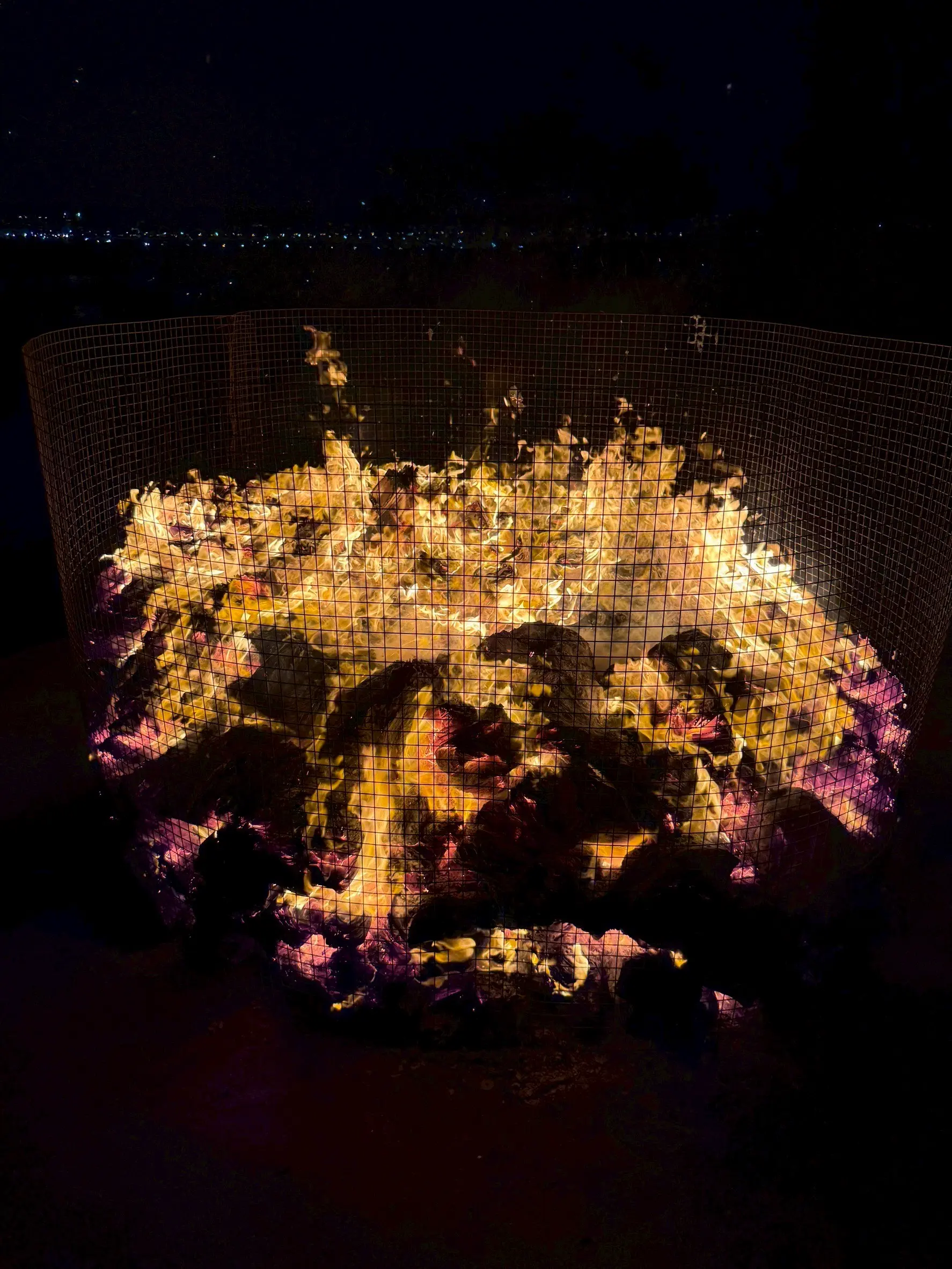 十月十五誦經祈福1